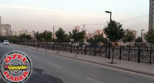 Bakımsızlıktan kuruyorlar