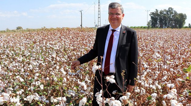 Barut: "Çukurova yeniden 'beyaz altın diyarı' olmalı"