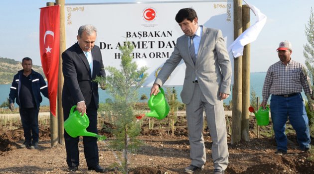 Başbakan Davutoğlu adına hatıra ormanı
