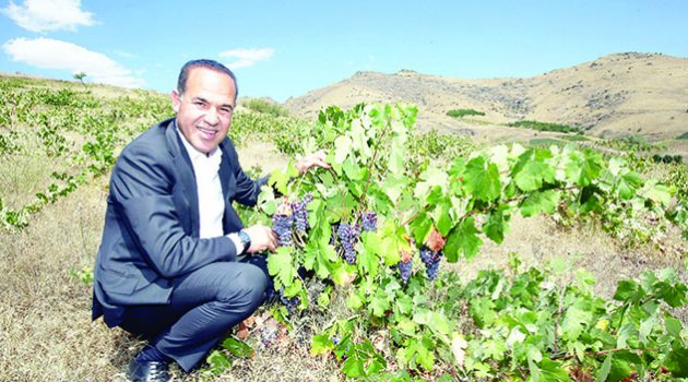 Başkan Sözlü’den kırsal kalkınma hamlesi