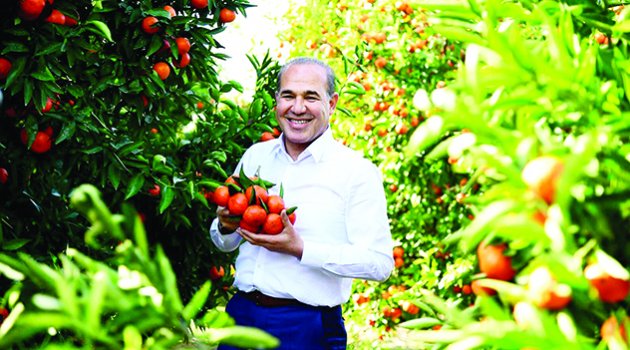 Başkan Sözlü, mandalina için kameralar karşısına geçti