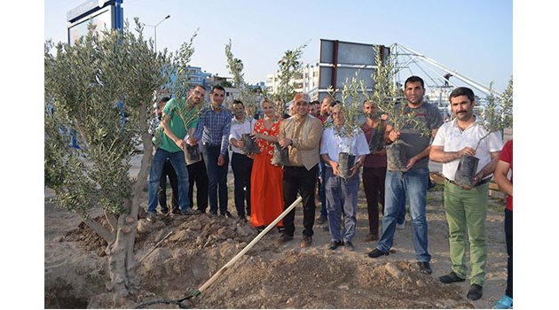 Başkan Ünal ‘dan zeytine destek