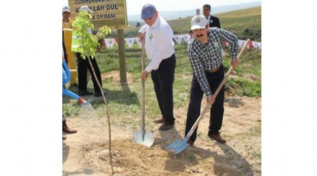 Başsavcıdan 100 bin fidan!