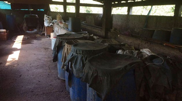 Bin 800 litre kaçak içki ahırdan çıktı