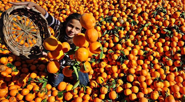 "Bir Turuncu Öykü Adana" proje çekimleri başladı