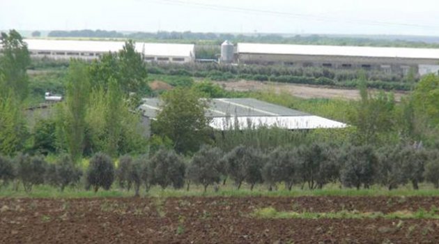 Bölgeye giriş yasaklandı