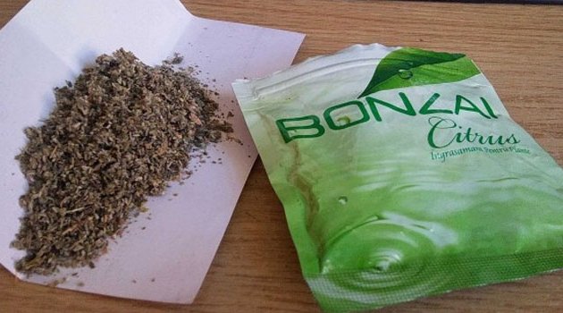 Bonzai kullanan şahıs evinde ölü bulundu
