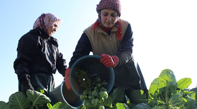 Brüksel lahanasına Rusya darbesi