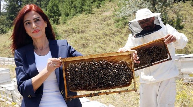 Bu bölüme gelen her öğrenciye bir arı kolonisi veriliyor