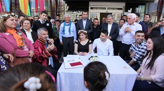 Buda Portakal Çiçeği gelini
