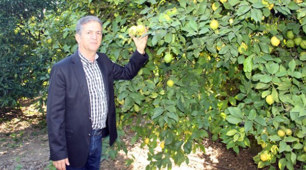 Buğday ve arpada prim dosya başvuruları başladı