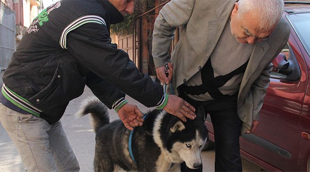 Bulunan köpek kendi köpeği çıkmayınca hayal kırıklığına uğradı