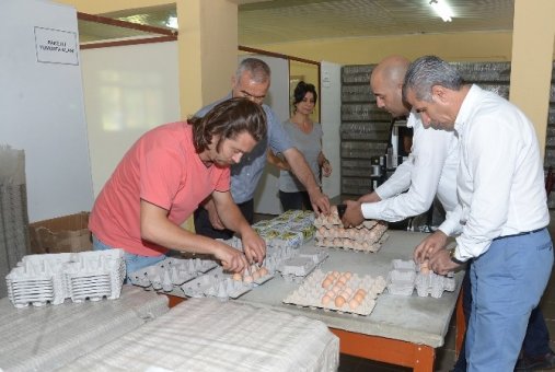 Büyükşehir’den Adanalı’ya Doğal Yumurta