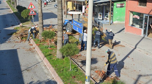 Büyükşehir’den, Ceyhan’da Ağaç Budama ve Peyzaj Çalışması