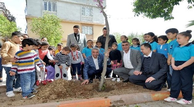 Büyükşehir, okulların bahçelerini ağaçlandırıyor