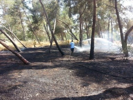 Çamlıktaki yangın korkuttu