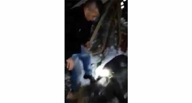 Çatısı çöken ahırıda kalan hayvanlar kurtarıldı