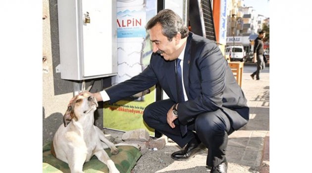 Çetin: Her canlının yaşam  hakkı korunmak zorundadır