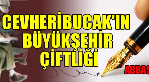 CEVHERİBUCAK'IN BÜYÜKŞEHİR ÇİFTLİĞİ