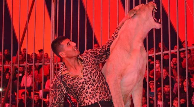 Ceyhan’da Arena Sirki’ne yoğun ilgi