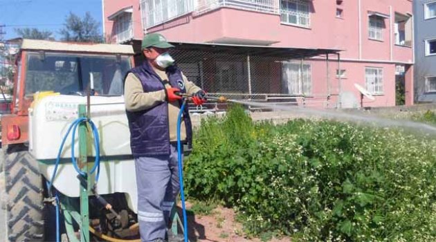 Ceyhan’da "Ot" mücadelesi