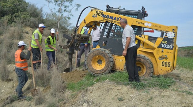 Ceyhan-Sarımazı yolunda çift taraflı ağaçlandırma çalışması