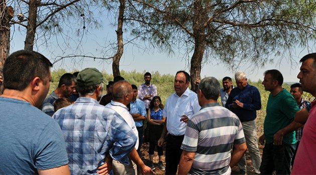CHP’li Tümer, ağaç kesimini önledi