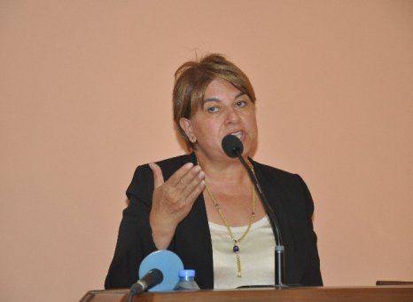 CHP'li vekil Türkmen’den terör çıkışı