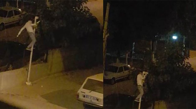 Çılgın hırsız direğe tırmanıp güvenlik kamerasını çaldı