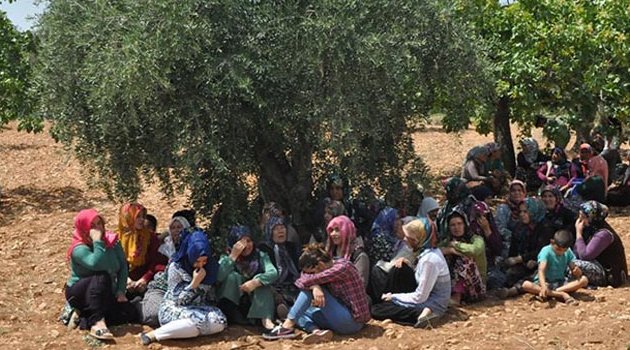 Cinnet getiren damat dehşet saçtı! 3 ölü 1 yaralı