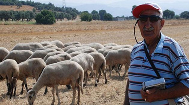 Çoban ihtiyacı için ’100 bin Suriyeli’ önerisi