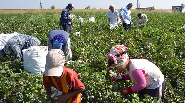 Çocuk işçiliğiyle mücadelede güç birliği