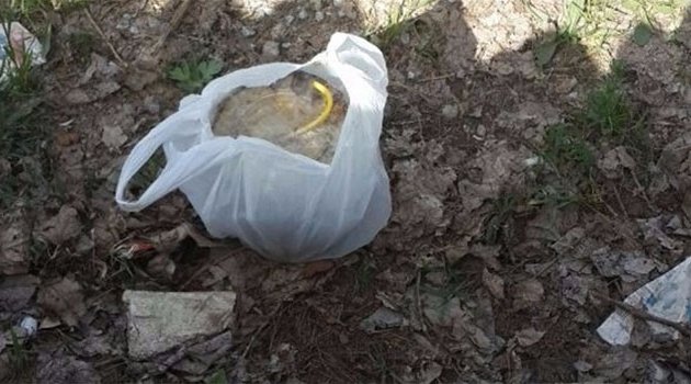 Çocukların bulduğu paketten bomba çıktı