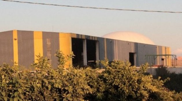 Çöp ayrıştırma istasyonunda kadın bacağı bulundu