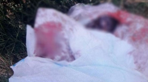 Çöp kenarında ölü bebek bulundu