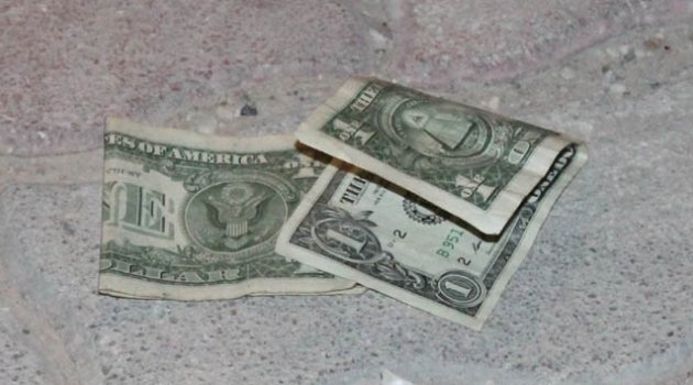 Çöpte bulunan dolarlar polisi alarma geçirdi