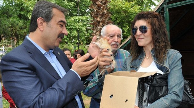 Çukurova Belediyesi'nden kedilere her ay mama