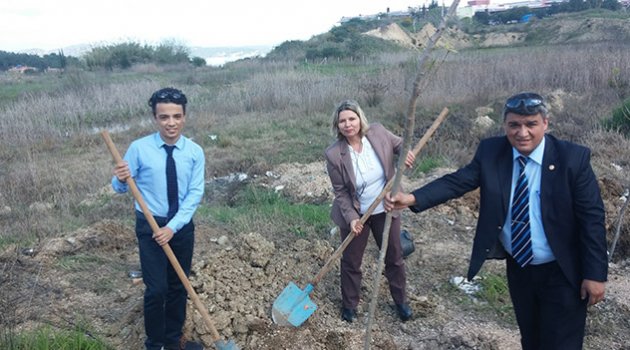 Çukurova Kaymakamlığı bahçesi ağaçlandırıldı