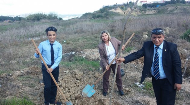 Çukurova Kaymakamlığı hizmet binası bahçesine ağaç dikildi