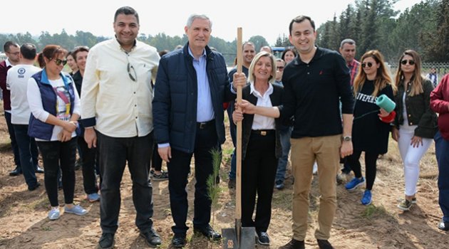 Çukurova Üniversitesi’nde  400 fıstık çamı toprakla buluştu