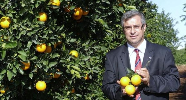 Çukurova'da üreticiye don uyarısı