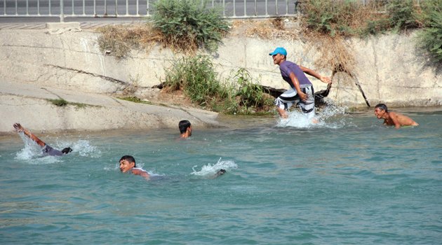 Dalgıçlar ceset aradı onlar serinlemek için yüzdü