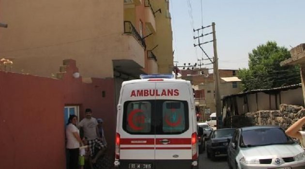 Dehşete düşüren olay