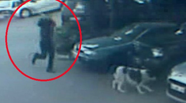 Demir sopa ile köpeğini dövdü
