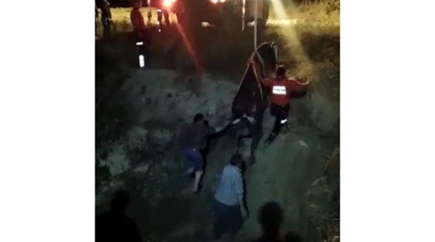 Dereye düşen ineği CANKUR kurtardı
