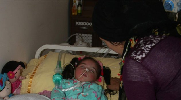 Derya bebek için savcılık harekete geçti