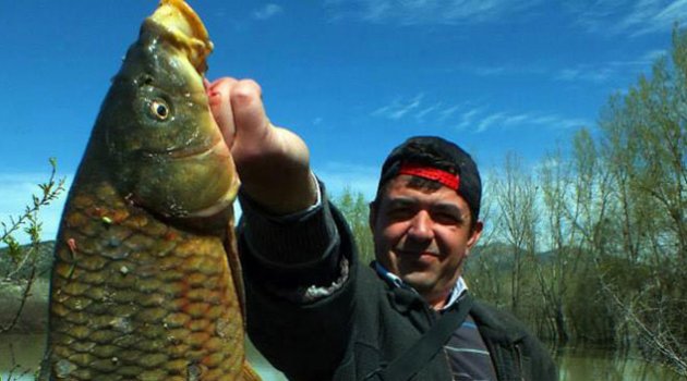 Devlet o balığın peşine düştü