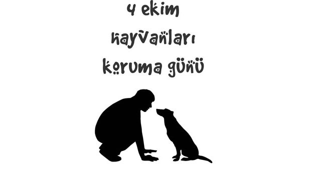 ‘Dilsiz dostlarımıza hak ettikleri sevgiyi göstermeliyiz’