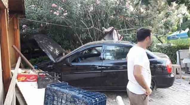 Direksiyon hakimiyetini kaybetti yoldan çıktı