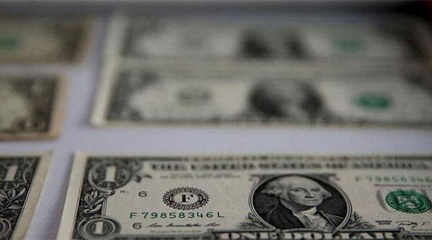 Diyaliz merkezinde 29 adet 1 dolar çıktı!